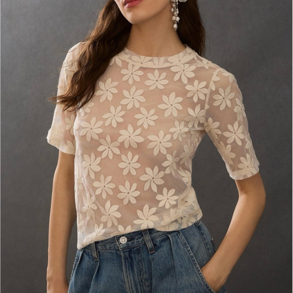 Daisy sheer cropped tee with embroidery size 2X (runs small) see measurements - Picture 11 of 11